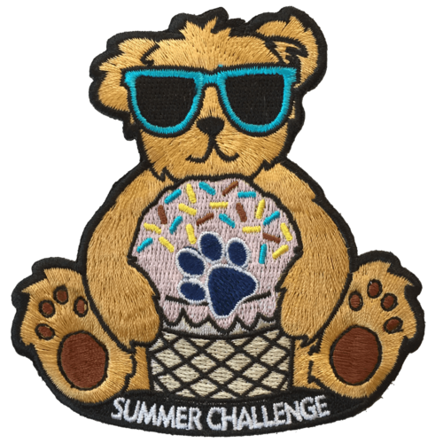 Summer Challenge