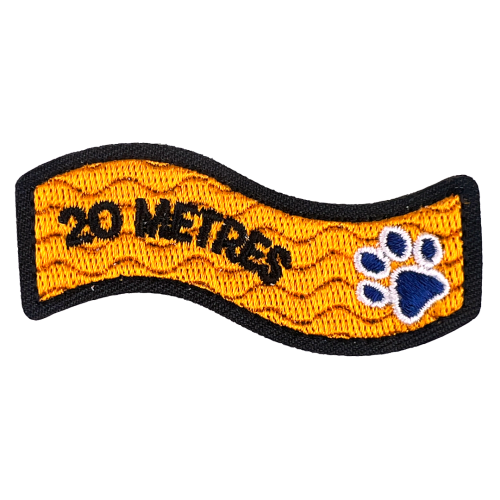 Swimming Milestone - 20m