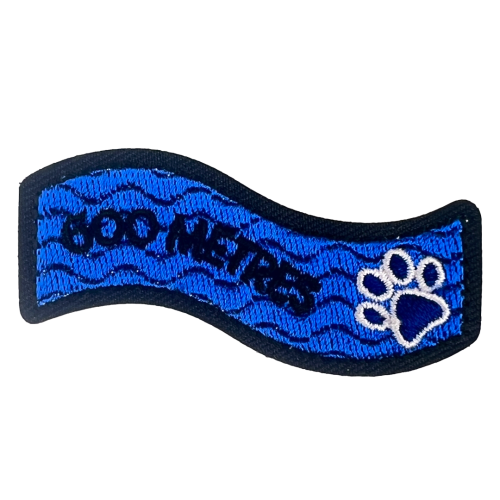 Swimming Milestone - 600m