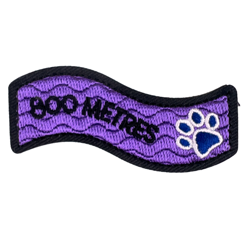 Swimming Milestone - 800m