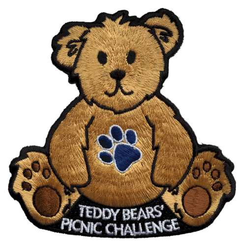 Teddy Bears' Picnic Challenge