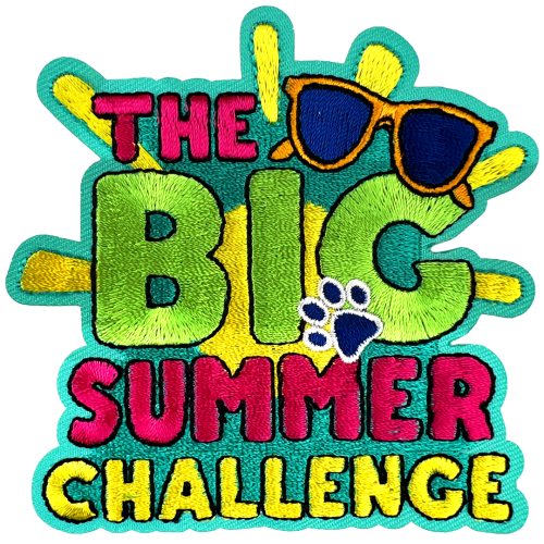 The BIG Summer Challenge