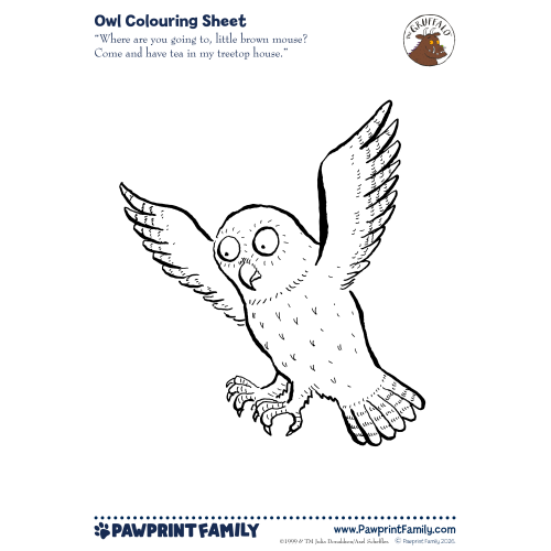 The Gruffalo Colouring Sheet - Owl