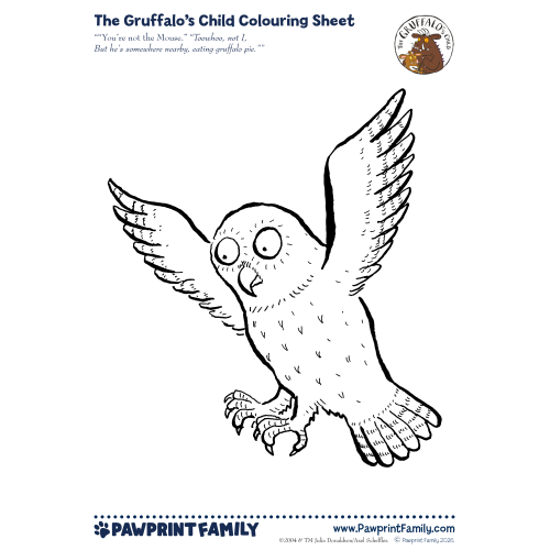 The Gruffalo's Child Colouring Sheet - Owl