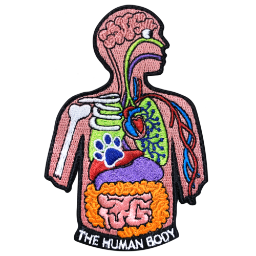 The Human Body