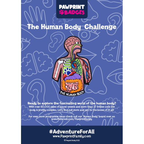 The Human Body Challenge Pack