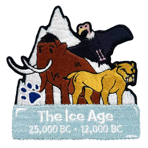 The Ice Age