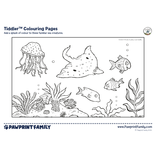 Tiddler Colouring Pages