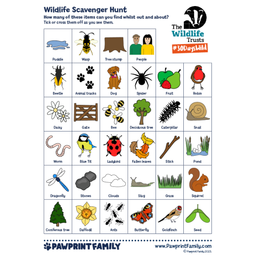 Wildlife Scavenger Hunt