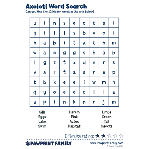 Word Searches - Axolotl