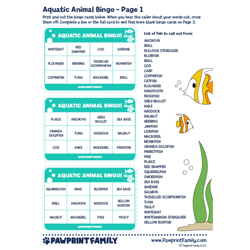 Photograph: Aquatic Animal Bingo