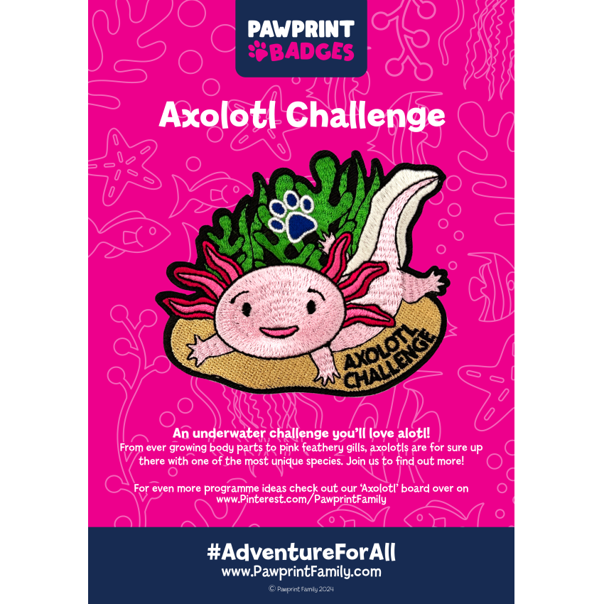 Photograph: Axolotl Challenge Pack