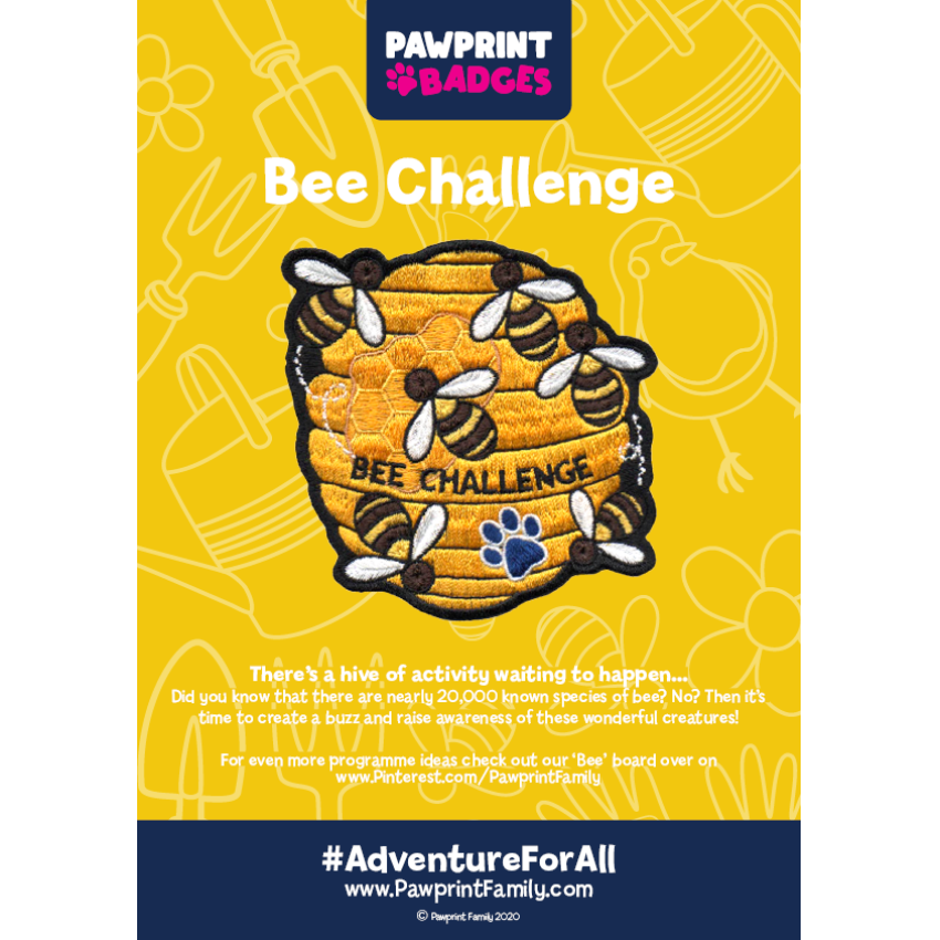 Photograph: Bee Challenge Pack