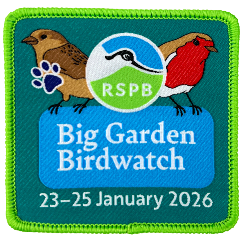 Photograph: Big Garden Birdwatch 2026