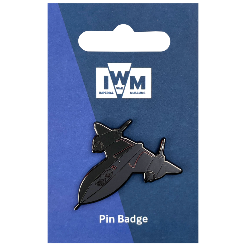 Photograph: Blackbird Pin Badge