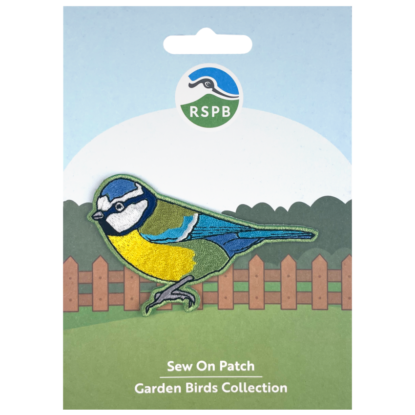 Photograph: Blue Tit Sew On Patch