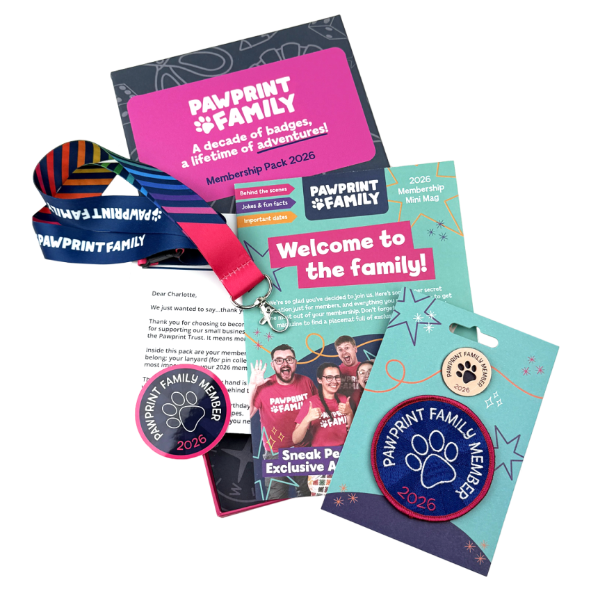 Photograph: Bronze Annual Membership