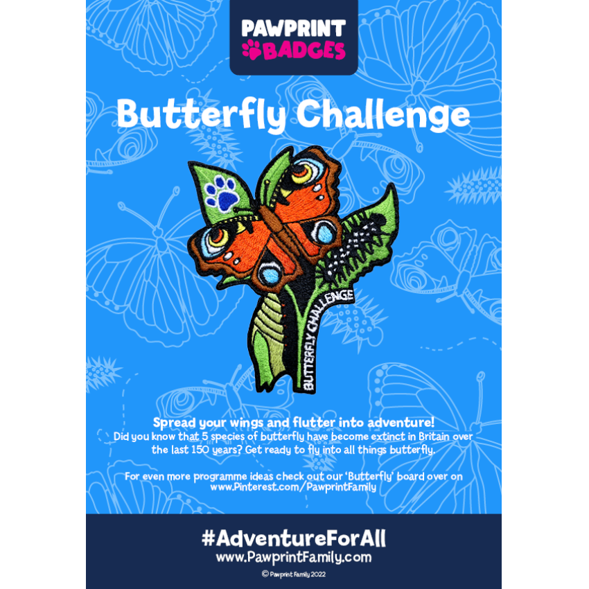 Photograph: Butterfly Challenge Pack