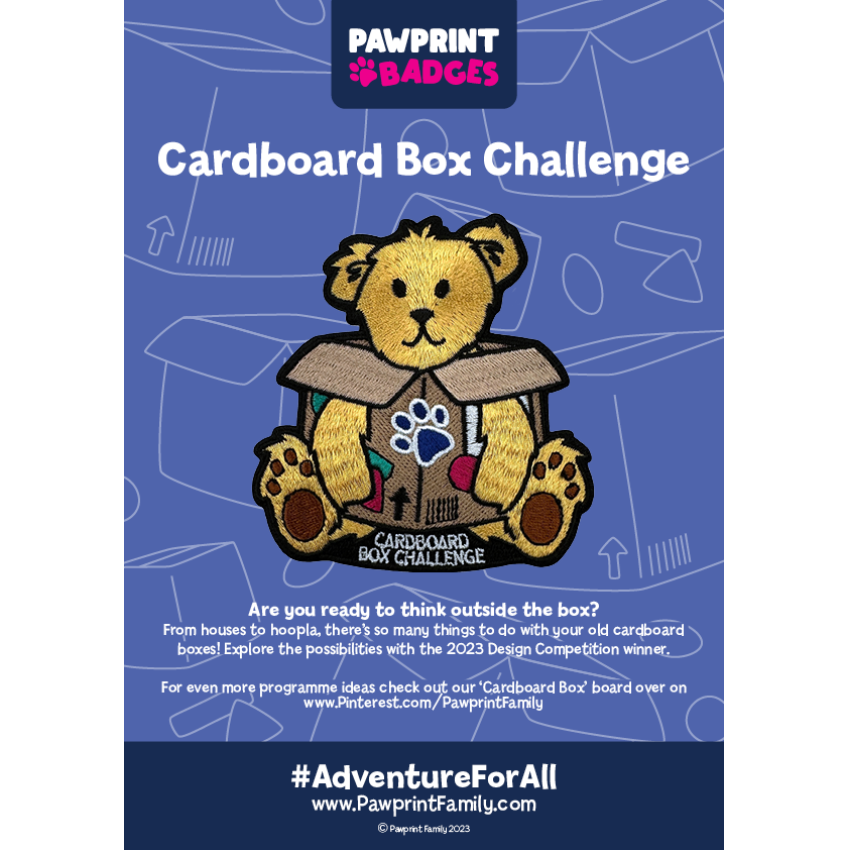 Photograph: Cardboard Box Challenge Pack