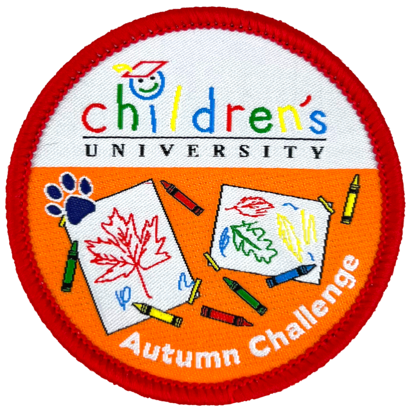 Photograph: Children's University Autumn Challenge - Woven