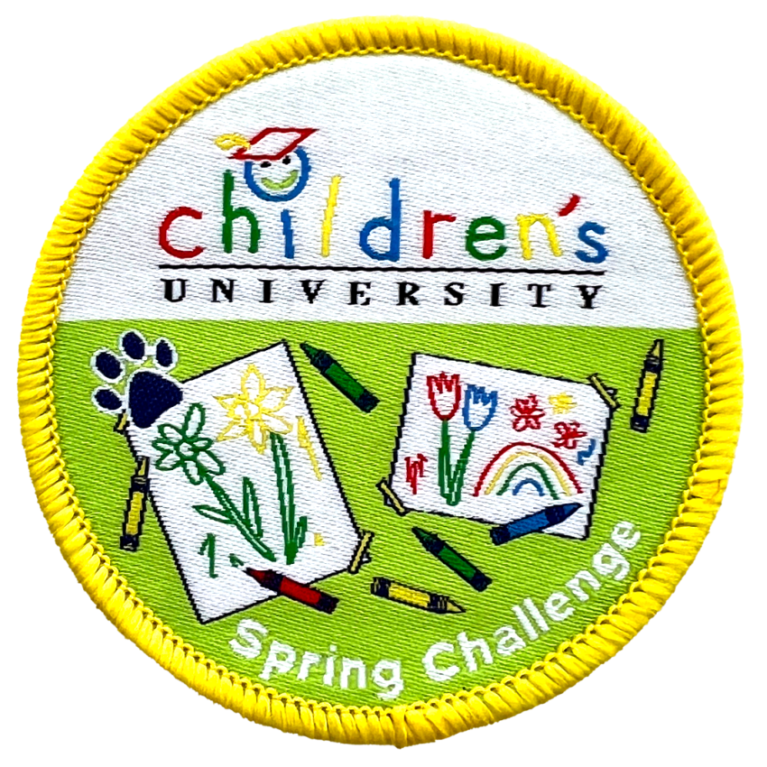 Photograph: Children's University Spring Challenge - Woven