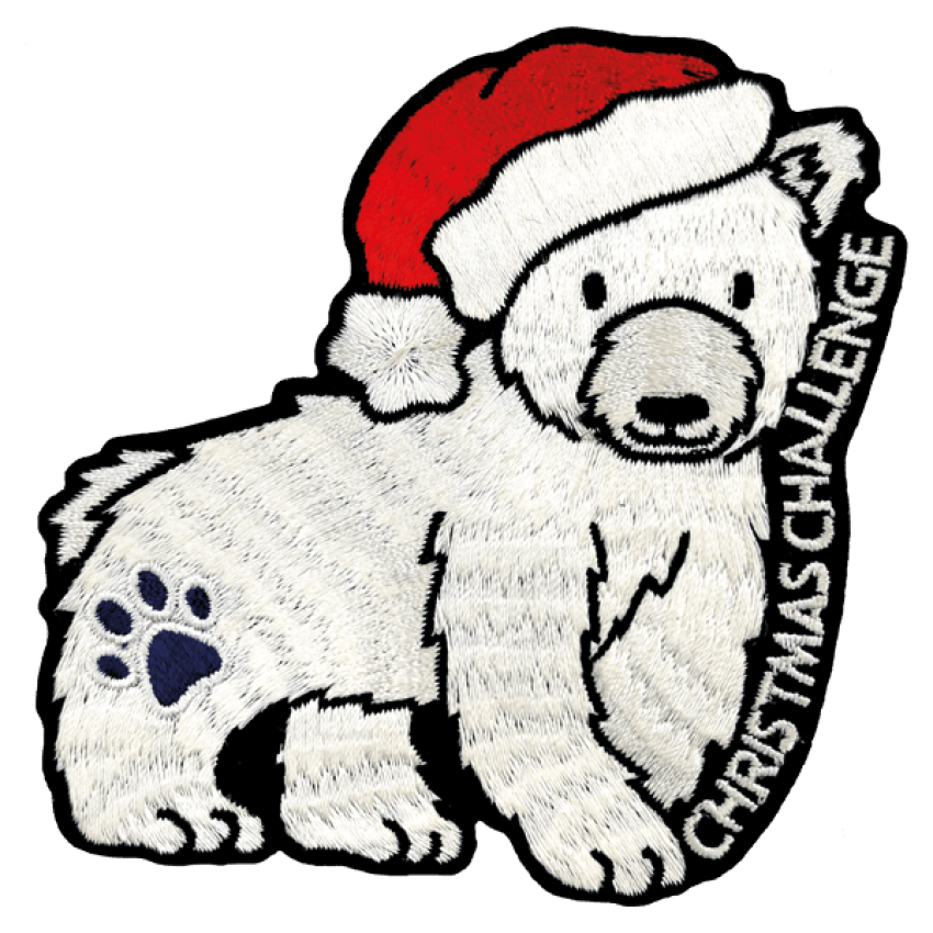 Photograph: Christmas Polar Bear