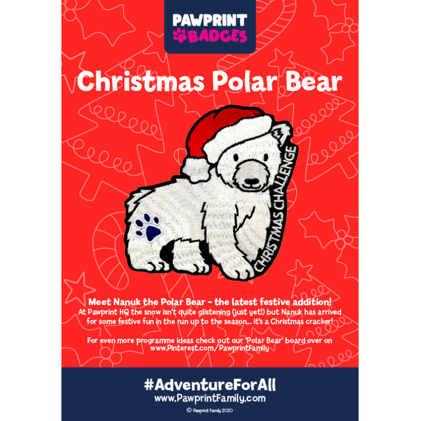 Photograph: Christmas Polar Bear Challenge Pack