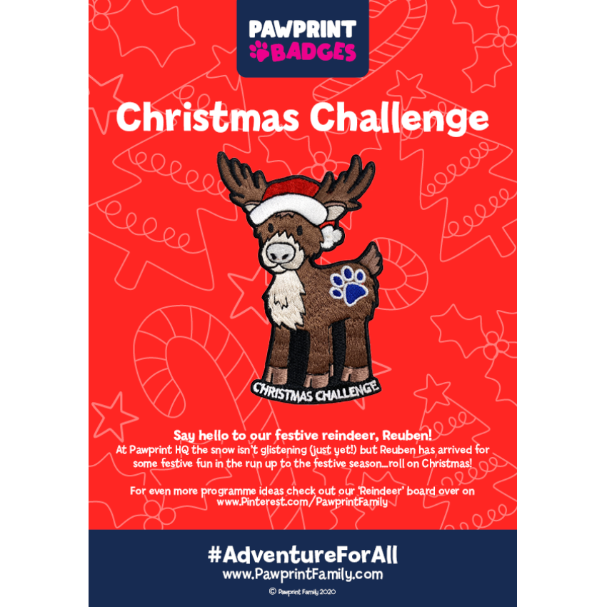 Photograph: Christmas Reindeer Challenge Pack