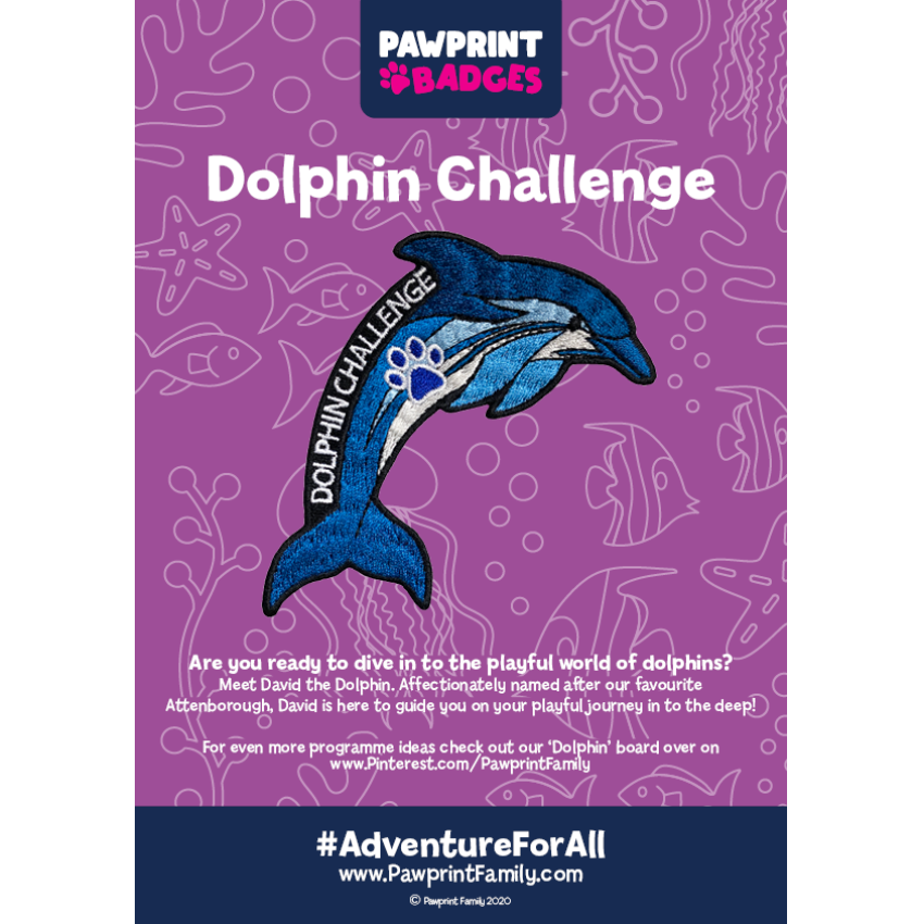 Photograph: Dolphin Challenge Pack