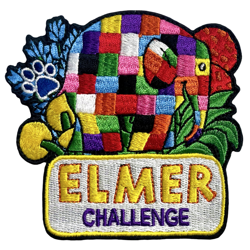 Photograph: Elmer Challenge