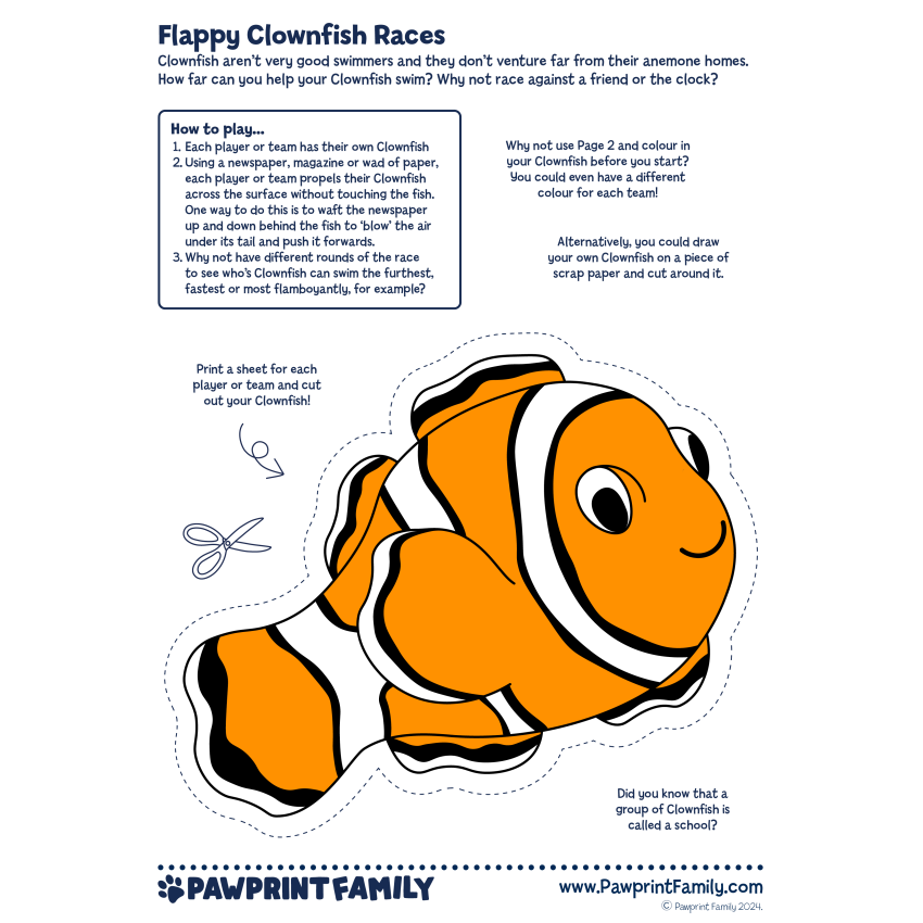 Photograph: Flappy Clownfish Races