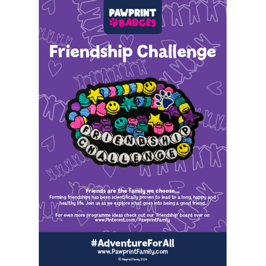 Photograph: Friendship Challenge Pack