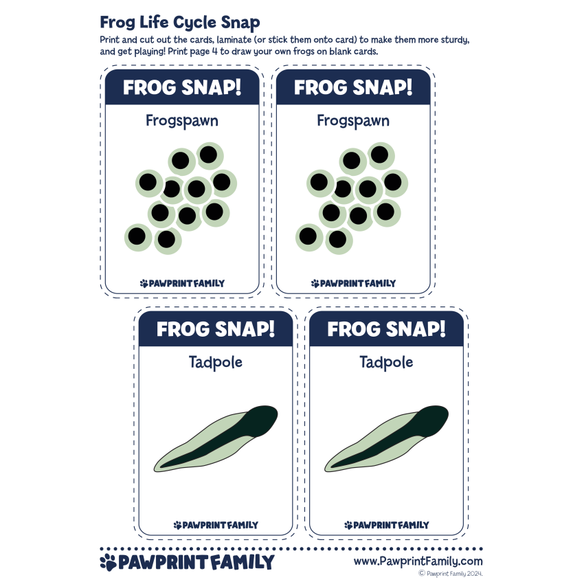 Photograph: Frog Life Cycle Snap