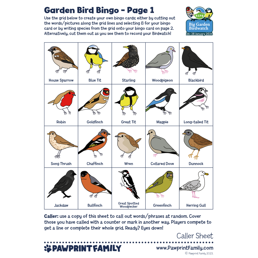 Photograph: Garden Bird Bingo