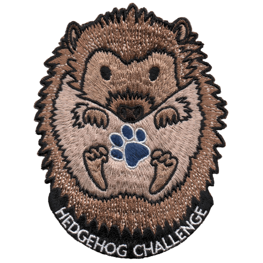 Photograph: Hedgehog Challenge