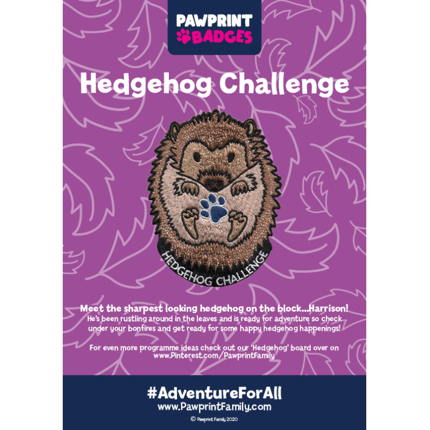 Photograph: Hedgehog Challenge Pack