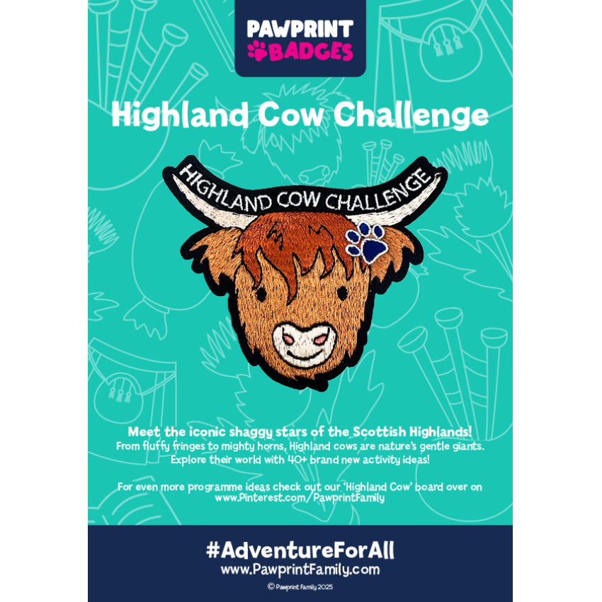 Photograph: Highland Cow Challenge Pack
