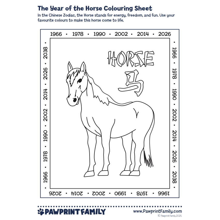 Photograph: Horse Colouring Sheet
