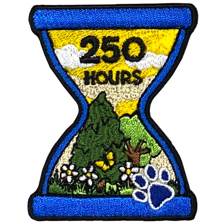 Photograph: Hours Outside Milestone - 250 Hours