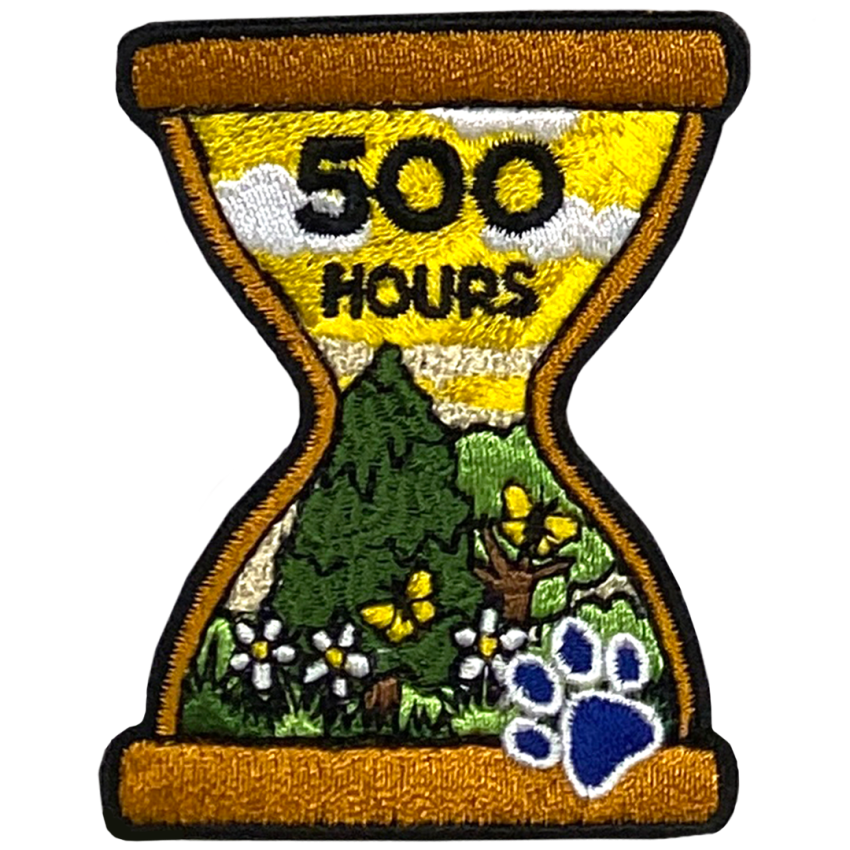 Photograph: Hours Outside Milestone - 500 Hours