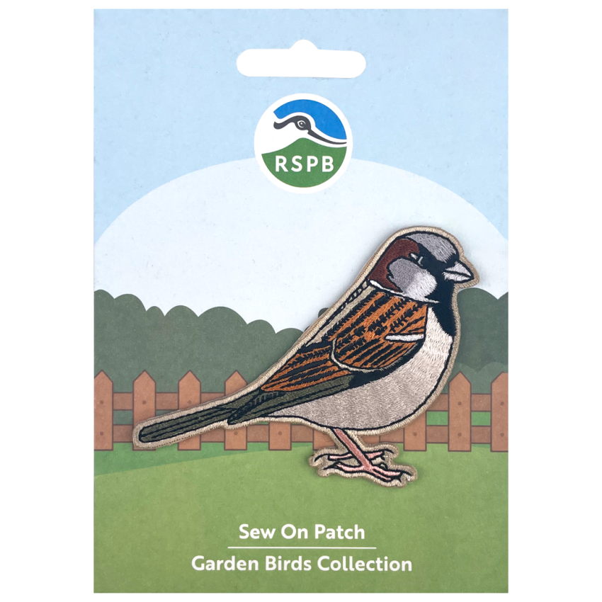 Photograph: House Sparrow Sew On Patch