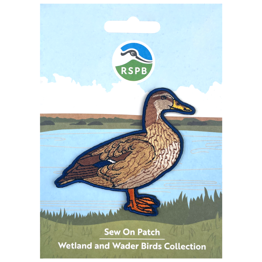 Photograph: Mallard Sew On Patch