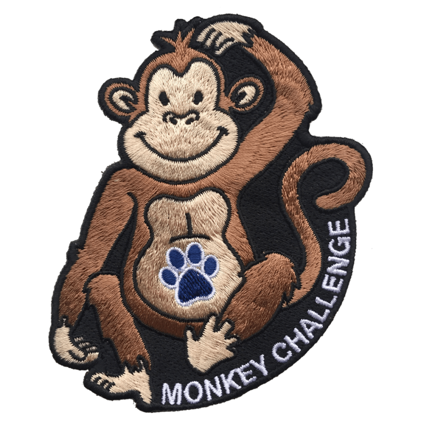 Photograph: Monkey Challenge