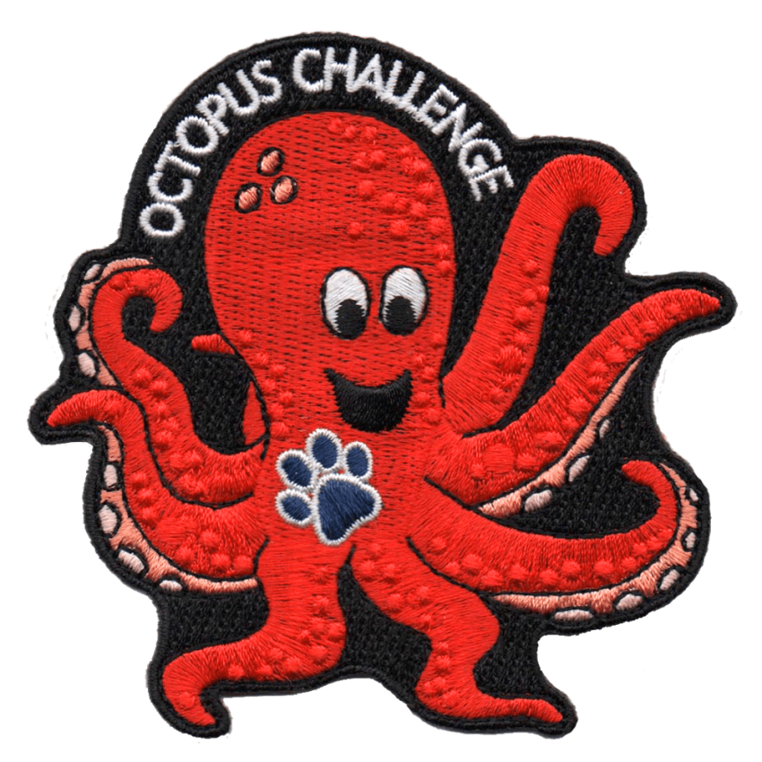 Photograph: Octopus Challenge