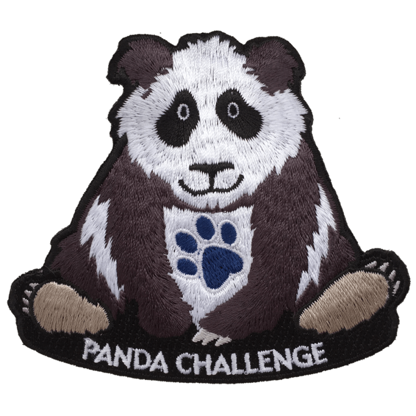 Photograph: Panda Challenge