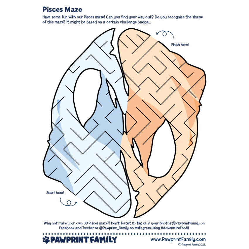 Photograph: Pisces Maze