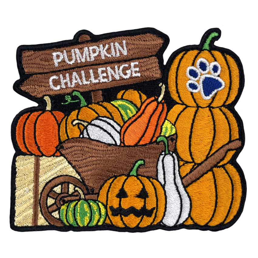 Photograph: Pumpkin Challenge