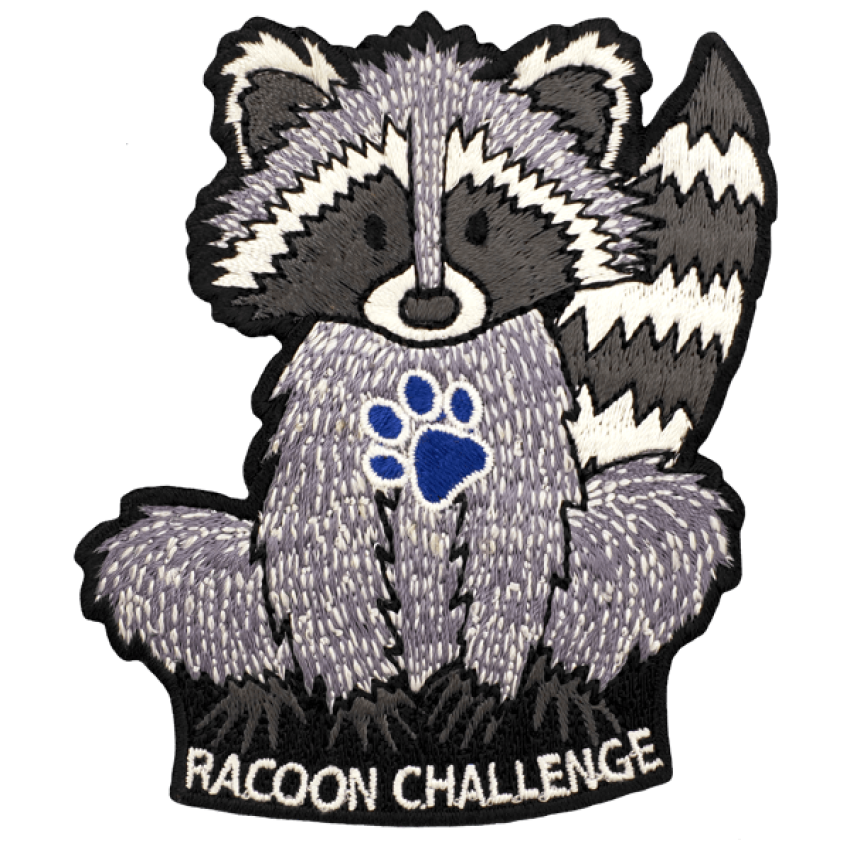 Photograph: Racoon Challenge