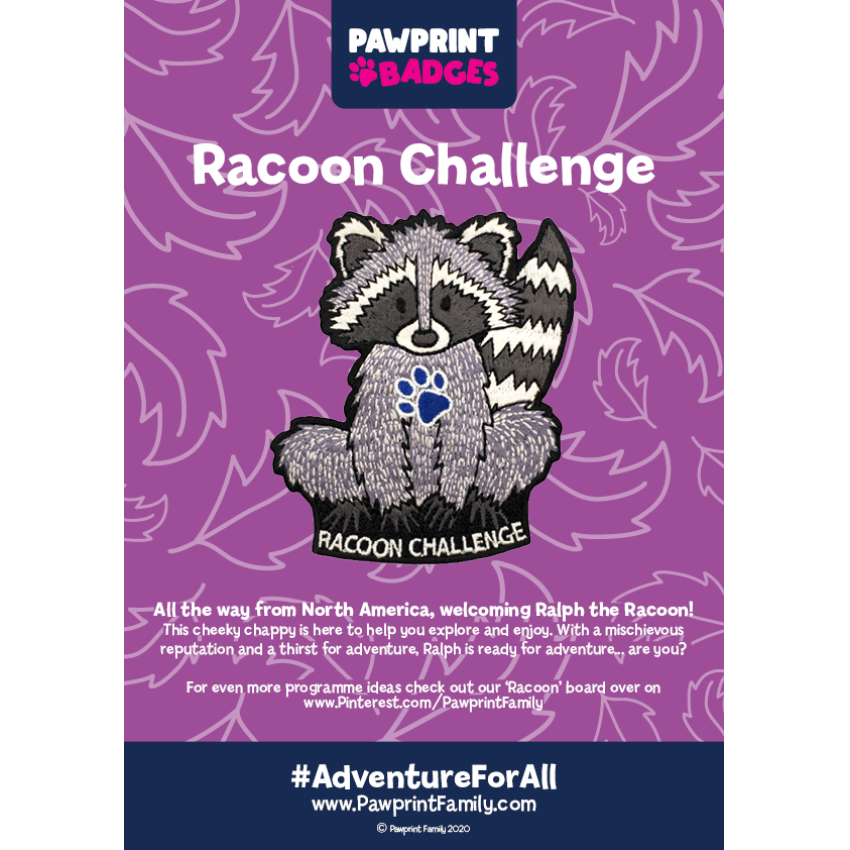 Photograph: Racoon Challenge Pack