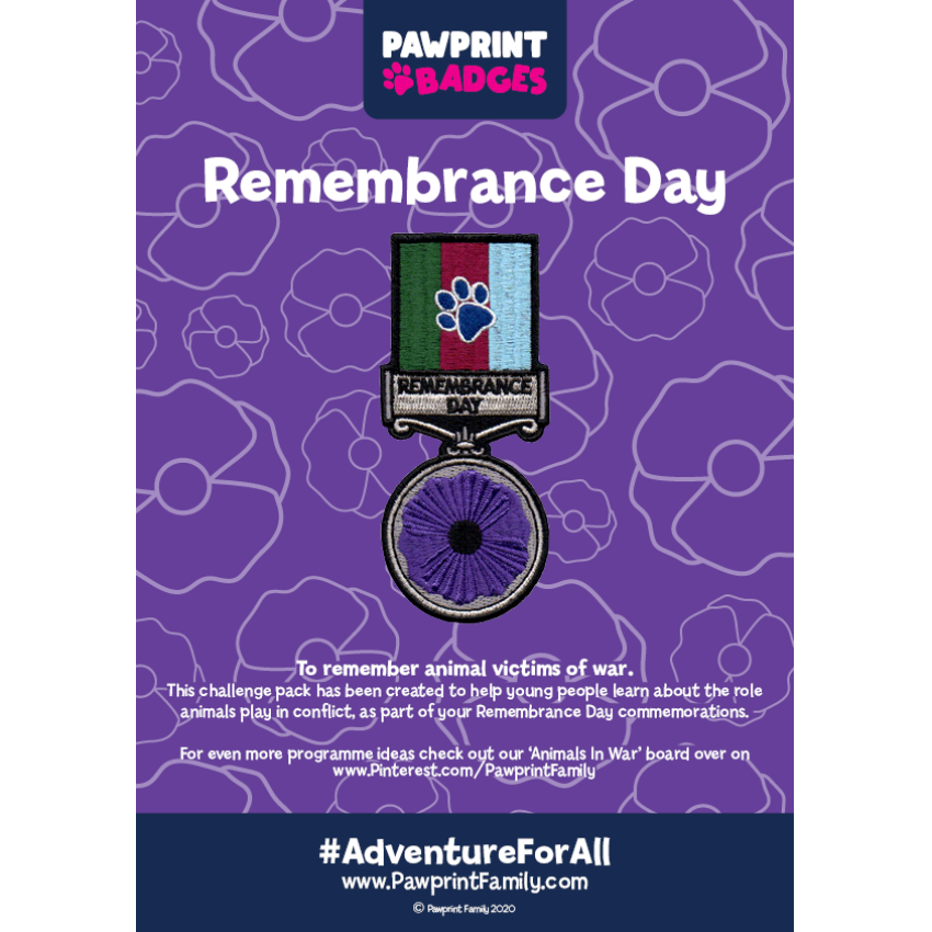 Photograph: Remembrance Day – Purple Challenge Pack